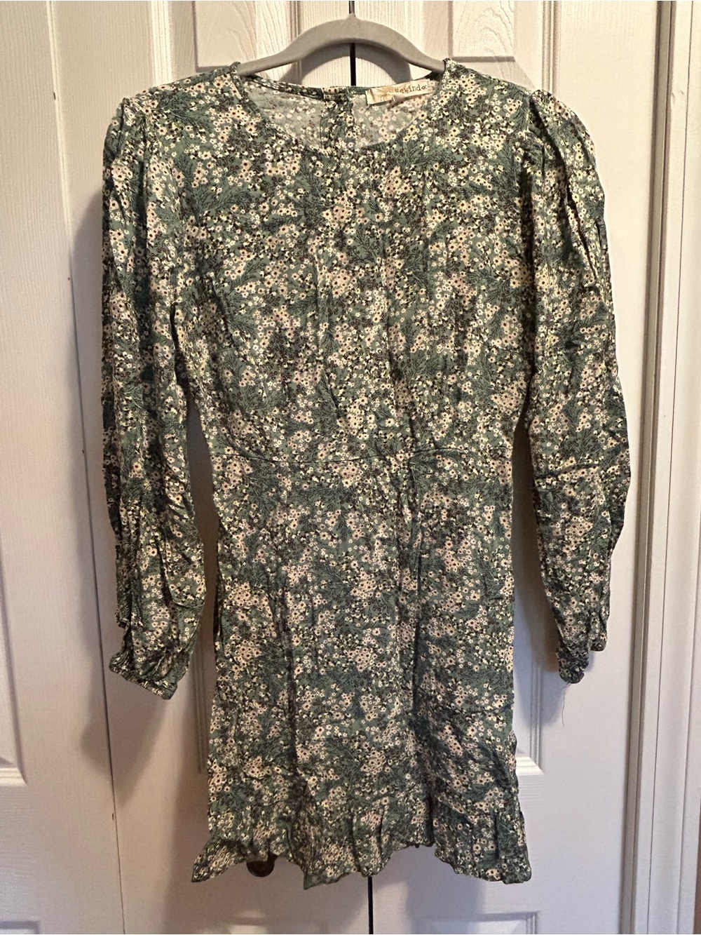 Rewind Floral Long-Sleeve Mini Dress in Sage Green